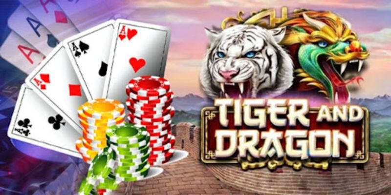 Tổng quan về Rồng Hổ i9Bet